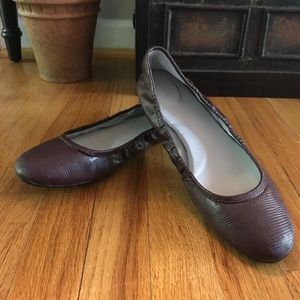 CALVIN KLEIN Burgundy Lizard PREILA Classic Ballet